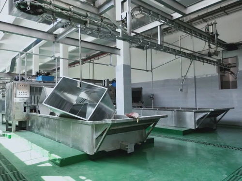 這個(gè)a級(jí)畜禽屠宰加工廠即將投產(chǎn) 產(chǎn)品將銷(xiāo)往全國(guó)各地