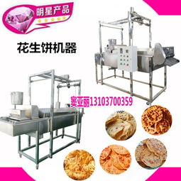 【花生餅機器設備海南文昌花生餅油炸機價格】- 